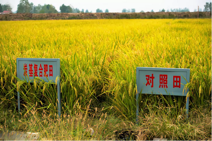 1655997441446795.png 1.png