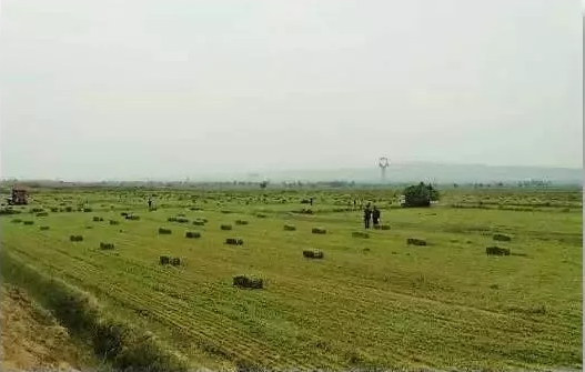 1655997451759695.png 2.png