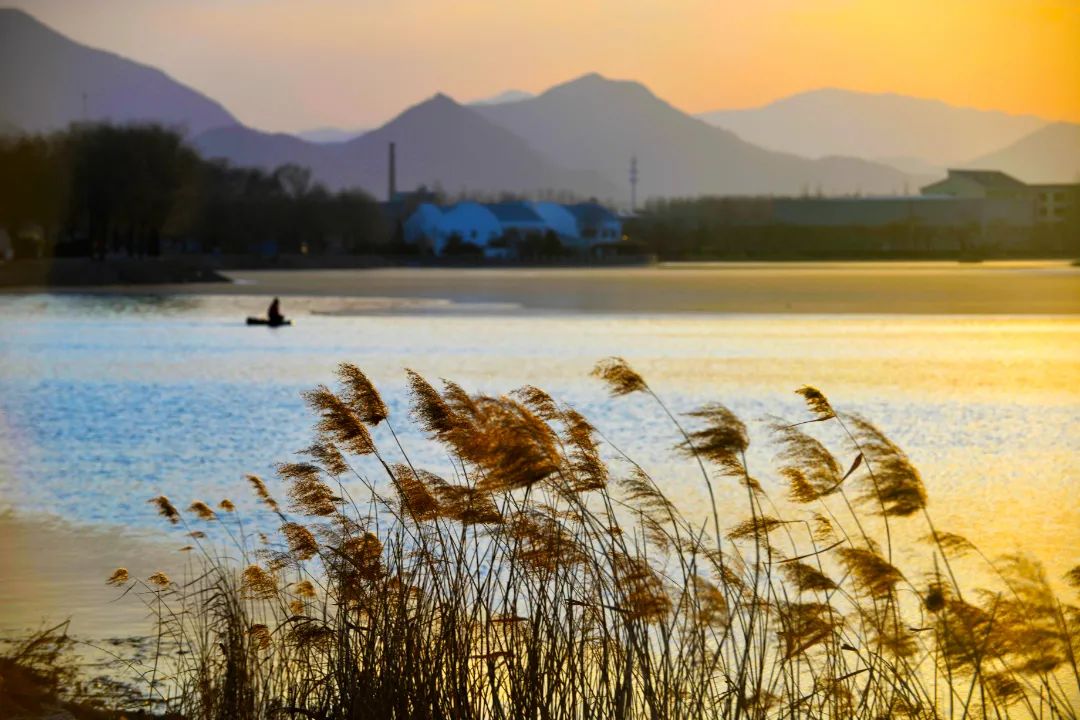 1672006756826237.jpg 1672006756826237.jpg