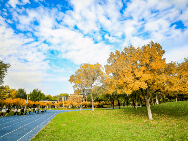 1675153384784689.png 1675153384784689.png