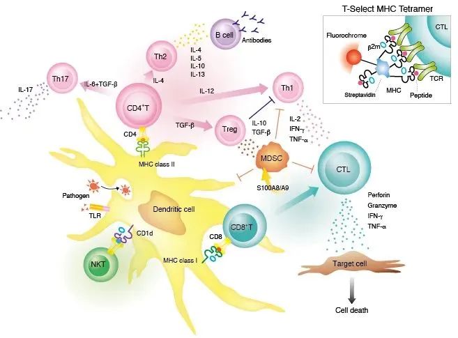 1686641533644456.jpg 1686641533644456.jpg